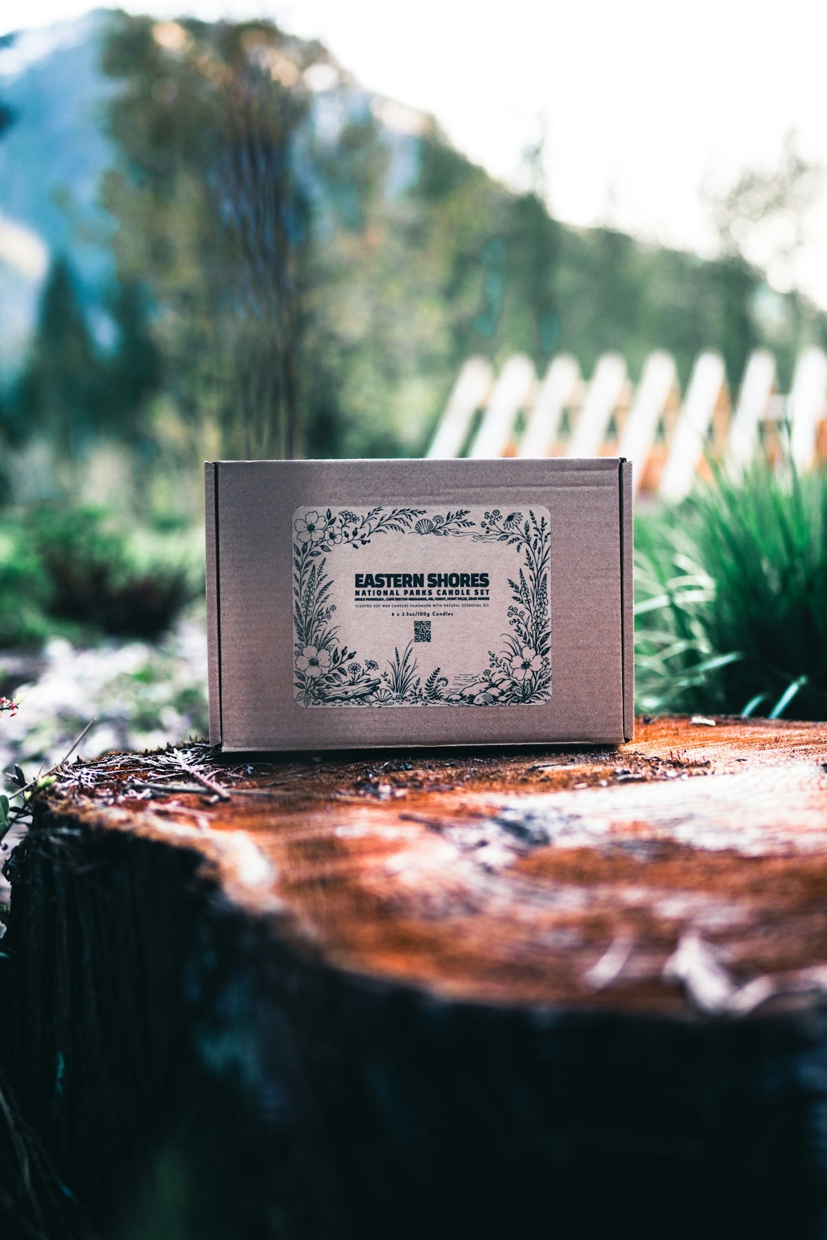 Cardboard box with floral label on tree stump.