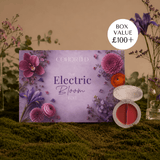 Caja de belleza de suscripción cohorte