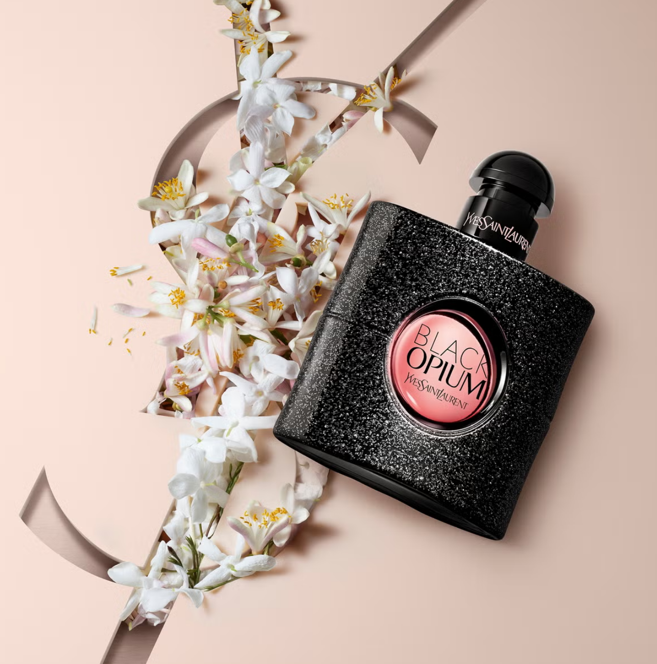 YSL-Win-Website-Header-Image-1286x1300px.png